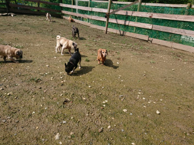 f:id:roukenhome-ann:20190724122234j:plain f:id:roukenhome-ann:20190724122234j:plain