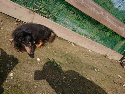 f:id:roukenhome-ann:20190724130613j:plain f:id:roukenhome-ann:20190724130613j:plain