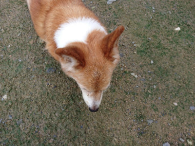 f:id:roukenhome-ann:20190724130624j:plain f:id:roukenhome-ann:20190724130624j:plain
