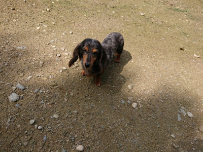 f:id:roukenhome-ann:20190724130628j:plain f:id:roukenhome-ann:20190724130628j:plain