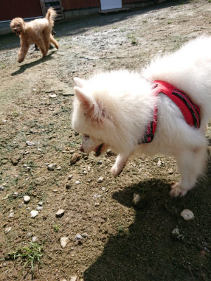 f:id:roukenhome-ann:20190724130634j:plain f:id:roukenhome-ann:20190724130634j:plain
