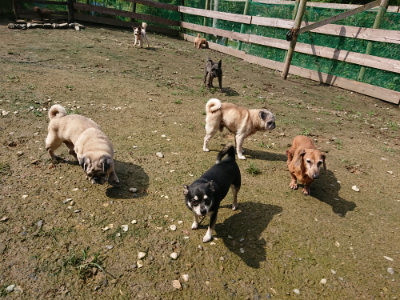 f:id:roukenhome-ann:20190724130649j:plain f:id:roukenhome-ann:20190724130649j:plain