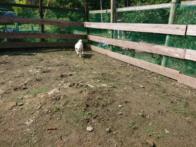 f:id:roukenhome-ann:20190724130714j:plain f:id:roukenhome-ann:20190724130714j:plain