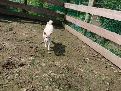 f:id:roukenhome-ann:20190724130731j:plain f:id:roukenhome-ann:20190724130731j:plain