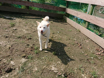 f:id:roukenhome-ann:20190724130736j:plain f:id:roukenhome-ann:20190724130736j:plain