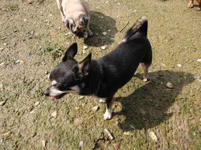 f:id:roukenhome-ann:20190724130757j:plain f:id:roukenhome-ann:20190724130757j:plain