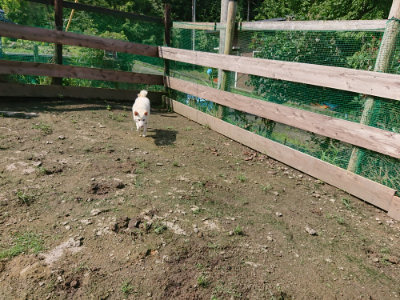 f:id:roukenhome-ann:20190724130802j:plain f:id:roukenhome-ann:20190724130802j:plain