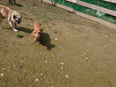 f:id:roukenhome-ann:20190724130813j:plain f:id:roukenhome-ann:20190724130813j:plain