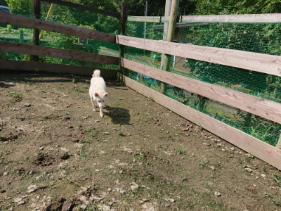 f:id:roukenhome-ann:20190724130818j:plain f:id:roukenhome-ann:20190724130818j:plain