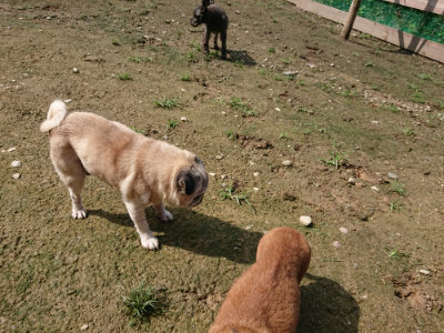 f:id:roukenhome-ann:20190724130839j:plain f:id:roukenhome-ann:20190724130839j:plain