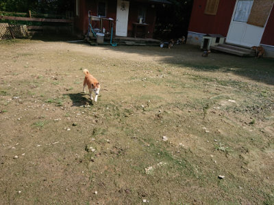 f:id:roukenhome-ann:20190724130845j:plain f:id:roukenhome-ann:20190724130845j:plain