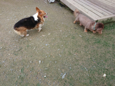 f:id:roukenhome-ann:20190724130853j:plain f:id:roukenhome-ann:20190724130853j:plain