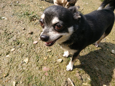 f:id:roukenhome-ann:20190724130905j:plain f:id:roukenhome-ann:20190724130905j:plain