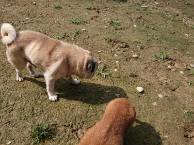 f:id:roukenhome-ann:20190724130924j:plain f:id:roukenhome-ann:20190724130924j:plain