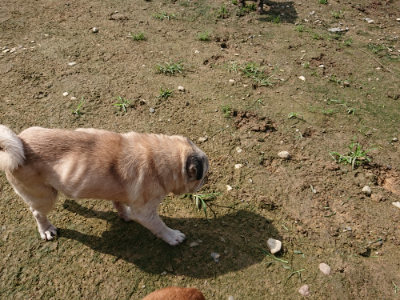 f:id:roukenhome-ann:20190724130944j:plain f:id:roukenhome-ann:20190724130944j:plain