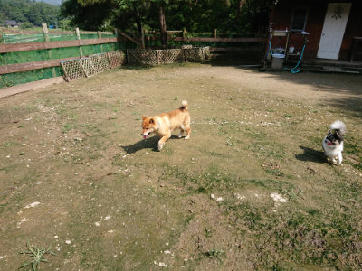 f:id:roukenhome-ann:20190724130948j:plain f:id:roukenhome-ann:20190724130948j:plain