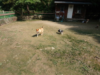 f:id:roukenhome-ann:20190724131005j:plain f:id:roukenhome-ann:20190724131005j:plain