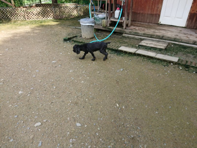 f:id:roukenhome-ann:20190724131038j:plain f:id:roukenhome-ann:20190724131038j:plain