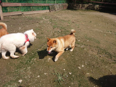 f:id:roukenhome-ann:20190724131054j:plain f:id:roukenhome-ann:20190724131054j:plain