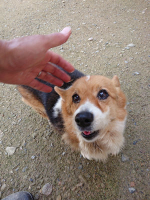 f:id:roukenhome-ann:20190724131100j:plain f:id:roukenhome-ann:20190724131100j:plain