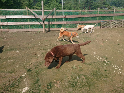 f:id:roukenhome-ann:20190724131201j:plain f:id:roukenhome-ann:20190724131201j:plain