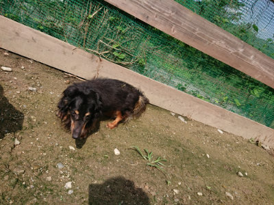 f:id:roukenhome-ann:20190724131207j:plain f:id:roukenhome-ann:20190724131207j:plain