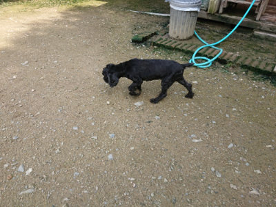 f:id:roukenhome-ann:20190724131232j:plain f:id:roukenhome-ann:20190724131232j:plain