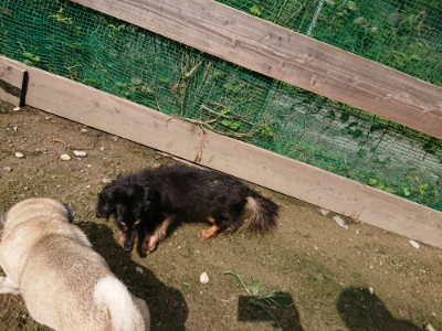 f:id:roukenhome-ann:20190724131243j:plain f:id:roukenhome-ann:20190724131243j:plain