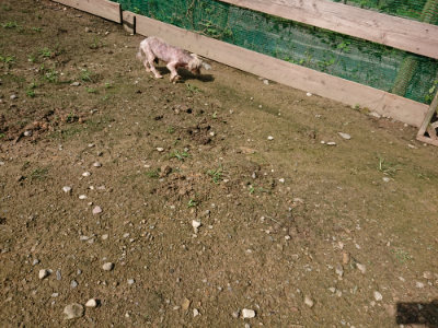 f:id:roukenhome-ann:20190724131258j:plain f:id:roukenhome-ann:20190724131258j:plain