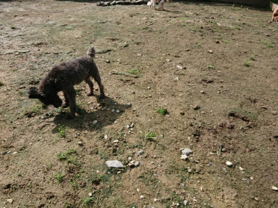 f:id:roukenhome-ann:20190724131303j:plain f:id:roukenhome-ann:20190724131303j:plain
