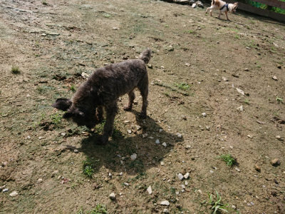 f:id:roukenhome-ann:20190724131308j:plain f:id:roukenhome-ann:20190724131308j:plain