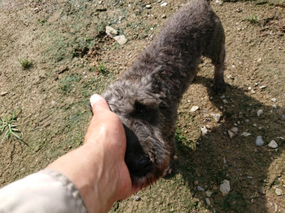 f:id:roukenhome-ann:20190724131340j:plain f:id:roukenhome-ann:20190724131340j:plain