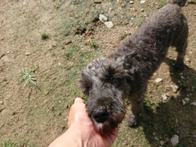 f:id:roukenhome-ann:20190724131344j:plain f:id:roukenhome-ann:20190724131344j:plain