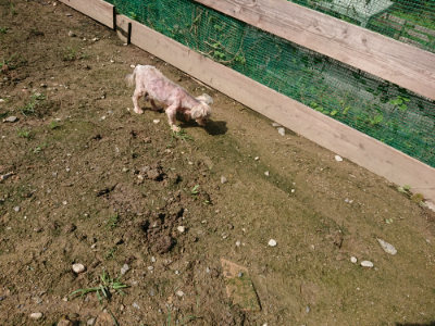 f:id:roukenhome-ann:20190724131354j:plain f:id:roukenhome-ann:20190724131354j:plain