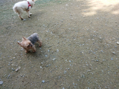 f:id:roukenhome-ann:20190724131409j:plain f:id:roukenhome-ann:20190724131409j:plain