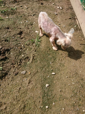 f:id:roukenhome-ann:20190724131414j:plain f:id:roukenhome-ann:20190724131414j:plain