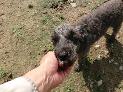 f:id:roukenhome-ann:20190724131446j:plain f:id:roukenhome-ann:20190724131446j:plain