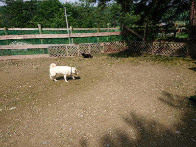 f:id:roukenhome-ann:20190724131451j:plain f:id:roukenhome-ann:20190724131451j:plain