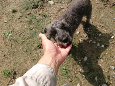 f:id:roukenhome-ann:20190724131507j:plain f:id:roukenhome-ann:20190724131507j:plain