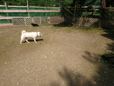 f:id:roukenhome-ann:20190724131513j:plain f:id:roukenhome-ann:20190724131513j:plain