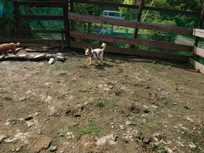 f:id:roukenhome-ann:20190724131523j:plain f:id:roukenhome-ann:20190724131523j:plain