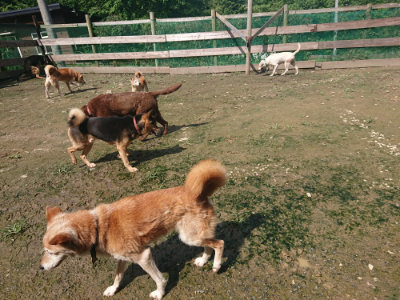 f:id:roukenhome-ann:20190724131532j:plain f:id:roukenhome-ann:20190724131532j:plain