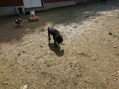 f:id:roukenhome-ann:20190724131543j:plain f:id:roukenhome-ann:20190724131543j:plain