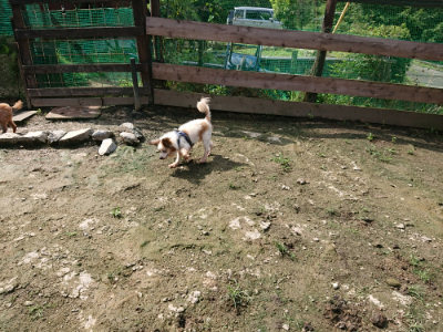 f:id:roukenhome-ann:20190724131548j:plain f:id:roukenhome-ann:20190724131548j:plain