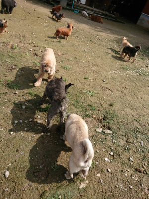 f:id:roukenhome-ann:20190724131606j:plain f:id:roukenhome-ann:20190724131606j:plain