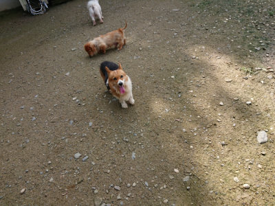 f:id:roukenhome-ann:20190724131620j:plain f:id:roukenhome-ann:20190724131620j:plain