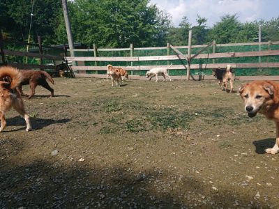 f:id:roukenhome-ann:20190724131629j:plain f:id:roukenhome-ann:20190724131629j:plain