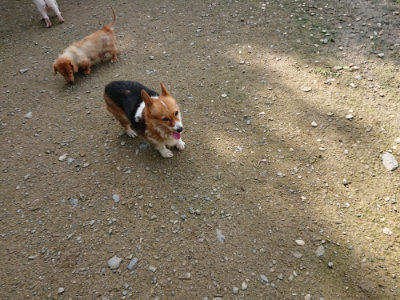 f:id:roukenhome-ann:20190724131638j:plain f:id:roukenhome-ann:20190724131638j:plain