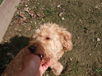 f:id:roukenhome-ann:20190724131643j:plain f:id:roukenhome-ann:20190724131643j:plain