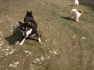 f:id:roukenhome-ann:20190724131700j:plain f:id:roukenhome-ann:20190724131700j:plain
